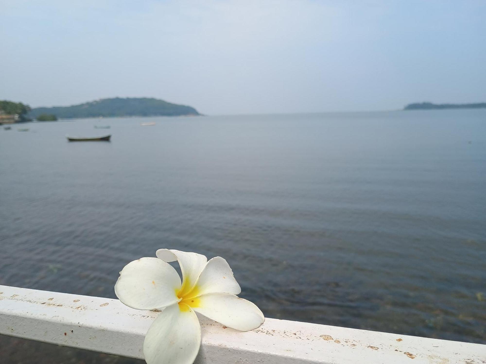 Gs Home On The Bay - Super Sea View Glass Studio Apartment ヴァガトール エクステリア 写真